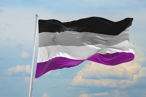 Flaga osób aseksualnych